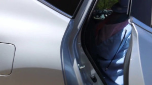 Lana Rain Masturbates In The Car