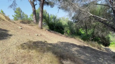 Sugary_Kitty's Risky Sex Tape In The Woods