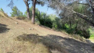 Sugary_Kitty's Risky Sex Tape In The Woods