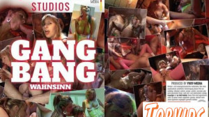Gangbang Wahnsinn GERMAN XXX DVDRIP X264 - RohrverlegerGmbH