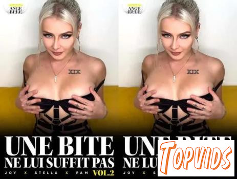 Une Bite Ne Lui Suffit Pas 2 FRENCH 1080p - COCKiNE