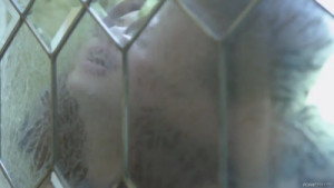 Jessica Ryan Gives Head And Gets Dicked Down